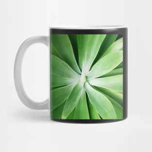 Plant print, Cactus print, Succulent, Scandinavian print, Trendy print, Styled, Pillow, Modern art, Wall art, Print, Minimalistic, Modern Mug